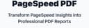 PageSpeed PDF Report Generator