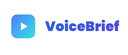 VoiceBrief.io